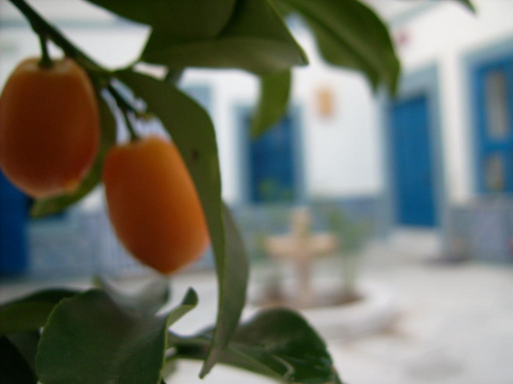 Dar Baaziz Hotel Sousse Exterior photo